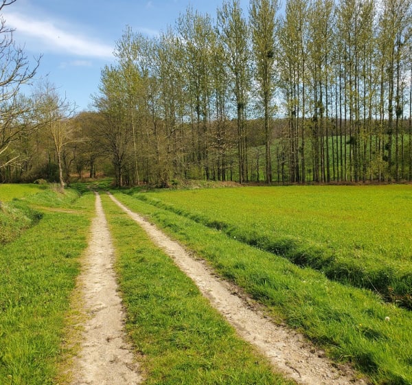 Forêt de Loudéac. centre équestre - Loudéac - 1