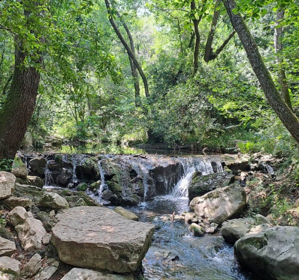 Fraîcheur dans le parc de la Brague - Biot - 1