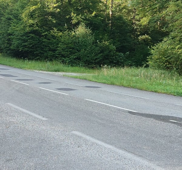 Boucle VTT par l'étang Rechal - Héricourt - 1