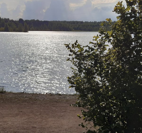 Tour du Lac du terril des Argales - Pecquencourt - 1
