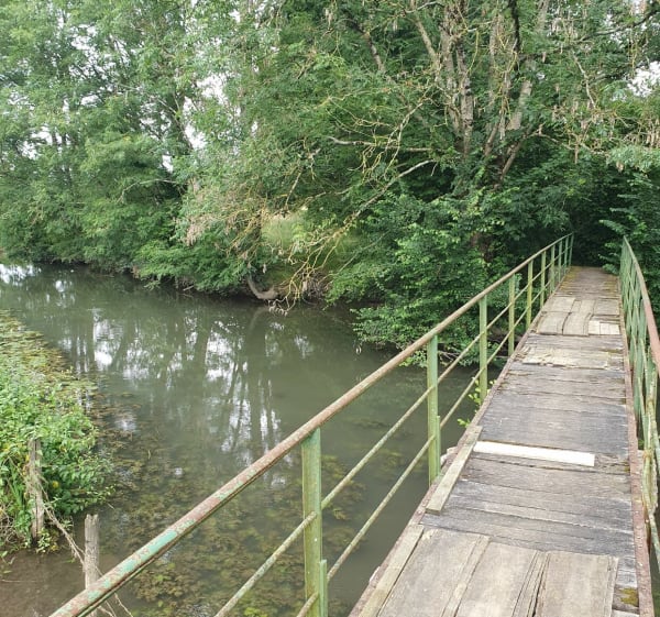 La Vègre entre Ruillé en Champagne et Épineux le Chevreuil - Ruillé-en-Champagne - 1
