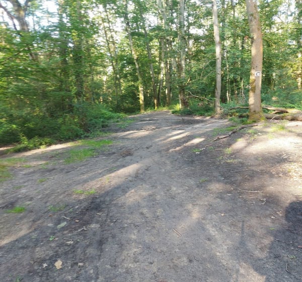 Le bois de la Cranne en partant des Clayes sous bois - Les Clayes-sous-Bois - 1