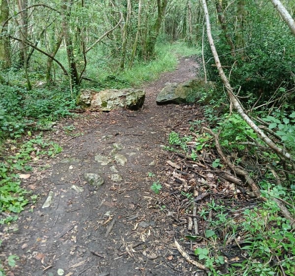 Petite boucle bois du Chay - Échillais - 1