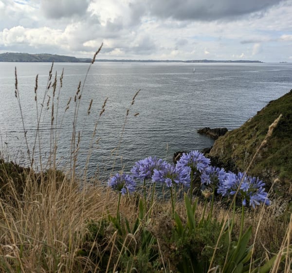 Balade avec vue sur Crozon - Plouzané - 1