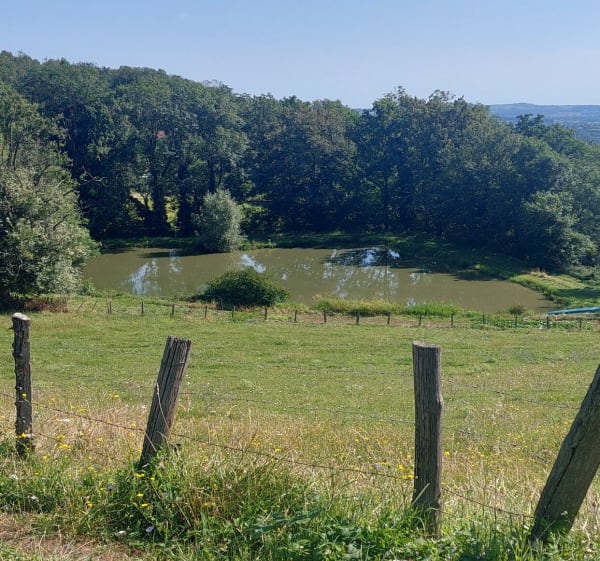 Belle balade Savigny - Savigny - 1