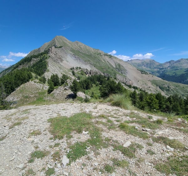 Tour du Cuchon à Ancelle - Ancelle - 1