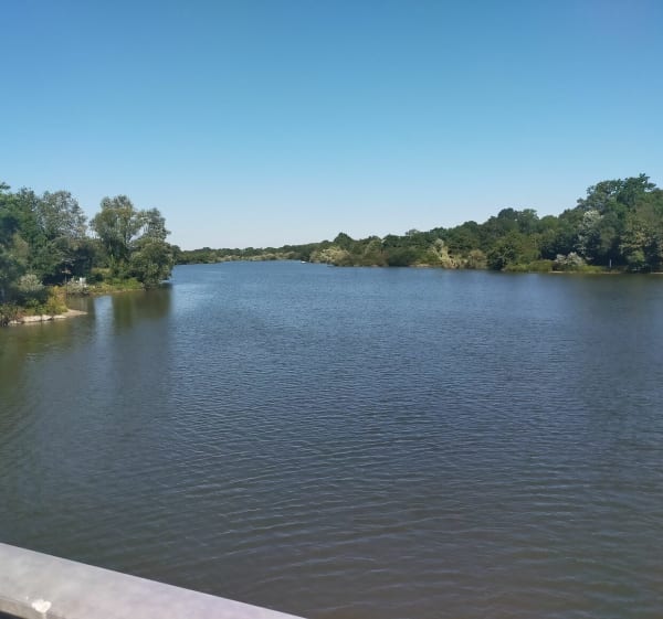 Lac de la Bultière - La Boissière-de-Montaigu - 1