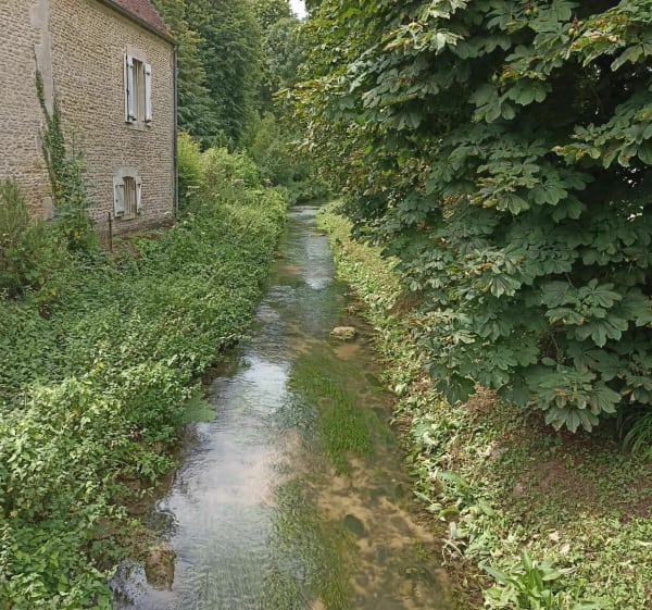 Saint Pierre en Auge Coconville - Saint-Pierre-en-Auge - 1