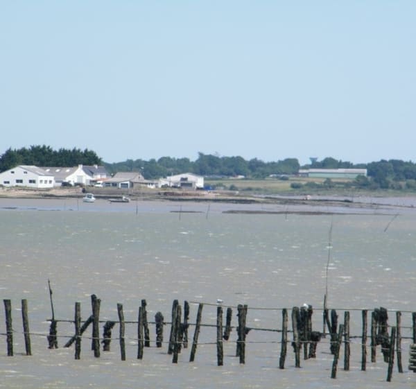 Tour sur la presqu’île de Sarzeau - Treffléan - 1