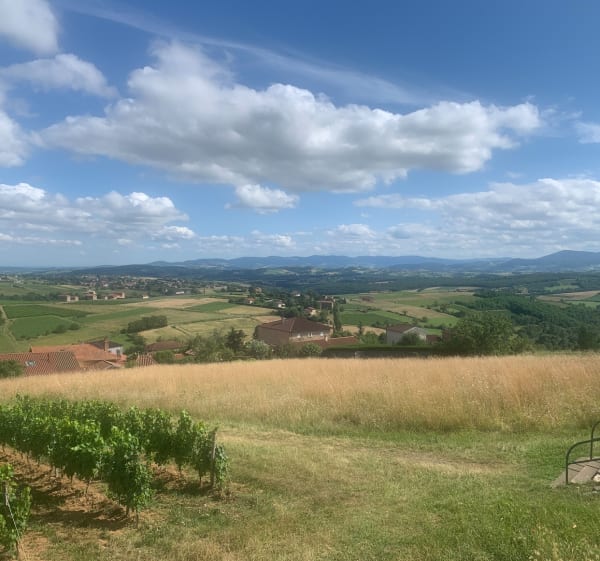 Randonnée familiale au départ du gîte - Sainte-Paule - 1