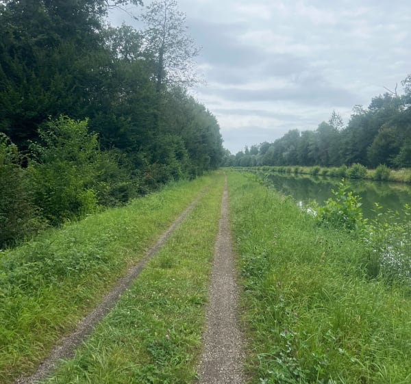 Promenade forêt de Brumath - Brumath - 1