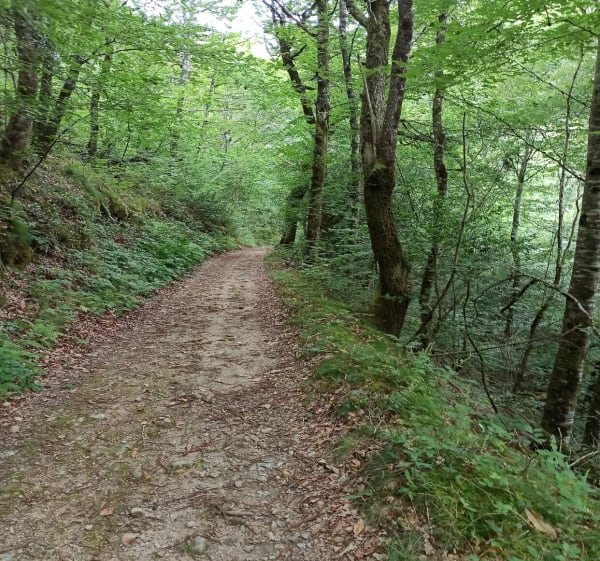 Cazottes Grivaldes en passant par Bouesques et Roquechauffra - Ladinhac - 1