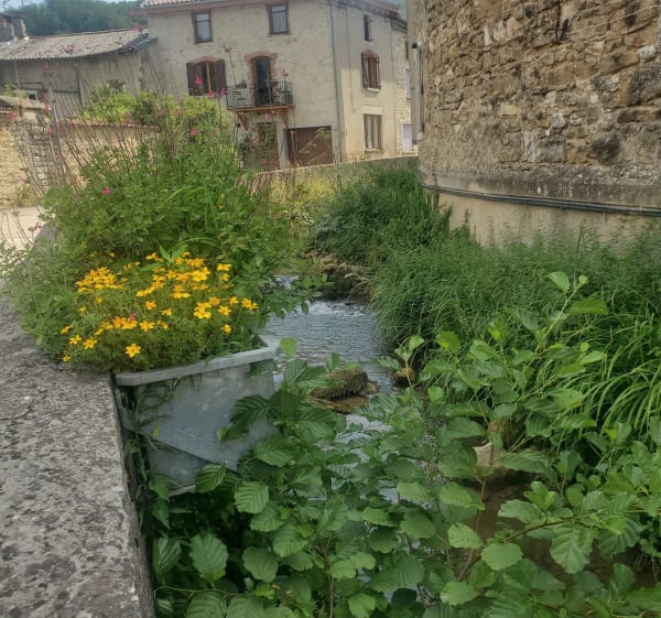 Rando des Vauriens - Vaux-en-Bugey - 1