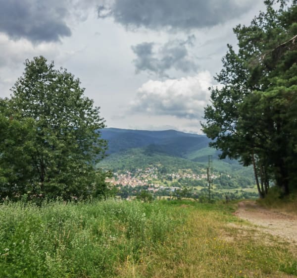 En parallèle de la voie verte à Soultzbach-les-Bains - Wihr-au-Val - 1