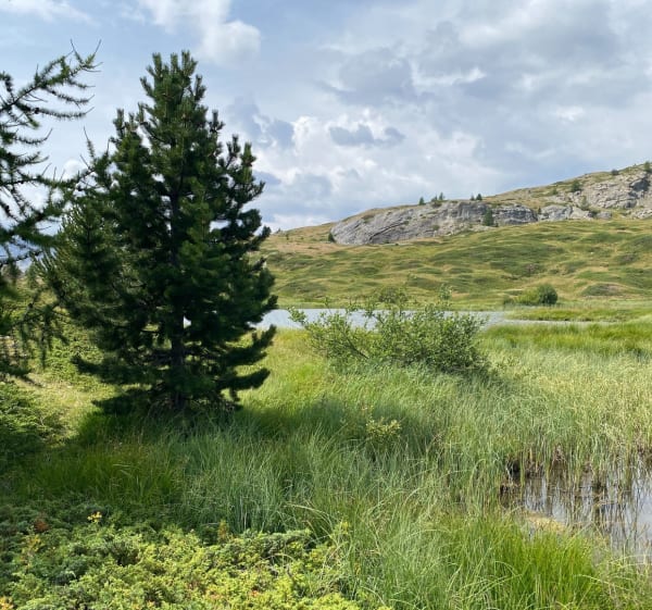 Lac des Sarailles - Montgenèvre - 1