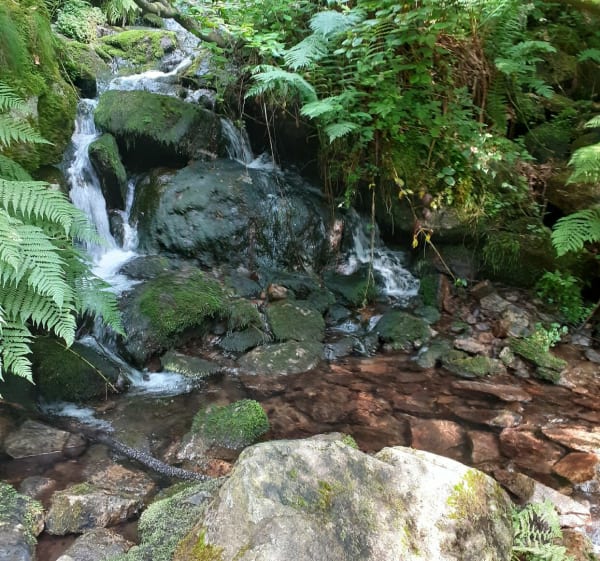 Vers Saut du Gier, Jasserine, et Crêt de la Perdrix - La Valla-en-Gier - 1