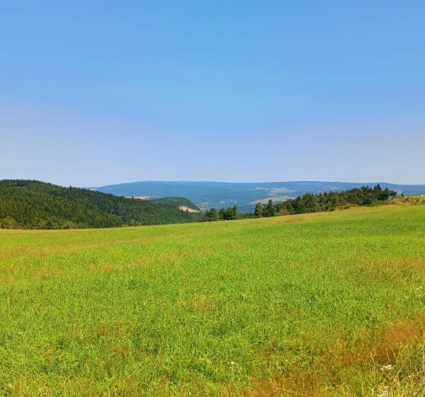 La Croix de Maître Vidal, le Roc des Chiens Fous par l'étang - Mont Lozère et Goulet - 1