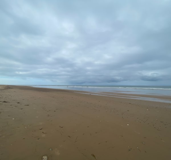 Balade matinale au marais d'Olonne - Les Sables-d'Olonne - 1