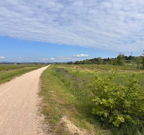 Le roujas - Montady - 1