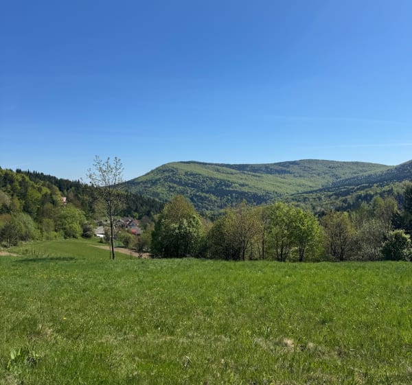 Schronisko pod Durbaszką - Myślenice - 1