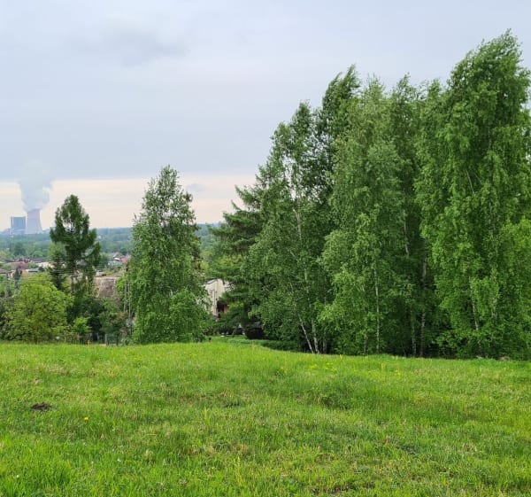Łąki Bielana - Jaworzno - 1
