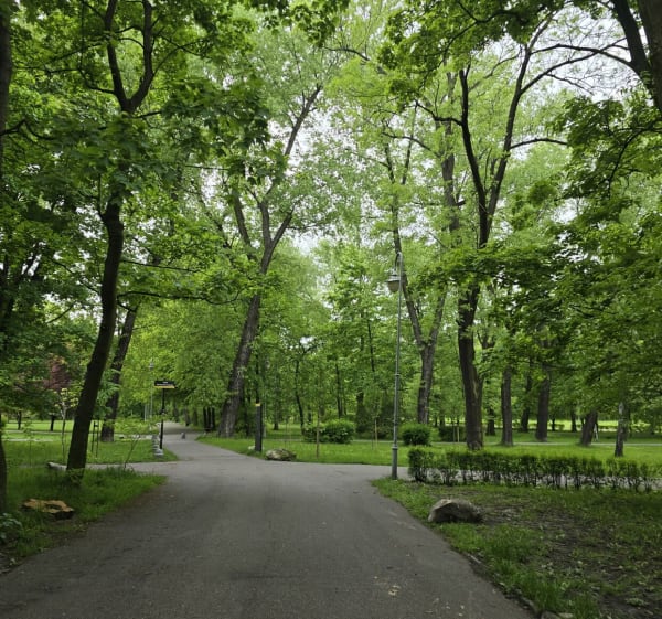 Park Kościuszki - Katowice - 1