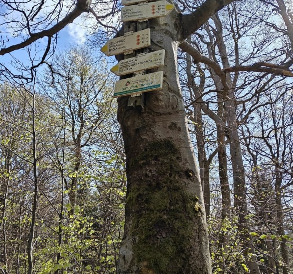 Z Kowadła na Koinovy - Bielice - 1