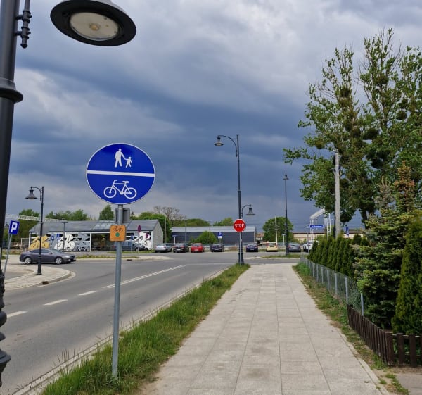 Szybki spacer w okolicy Nidzicy - Nidzica - 1