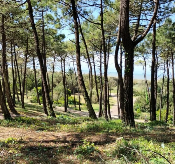Plage de la Coquette - La Guérinière - 1