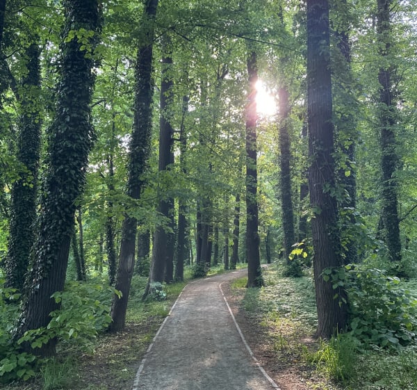 Park młodzieżowy w Świdnicy. Tropem dawnych fortyfikacji - Świdnica - 1