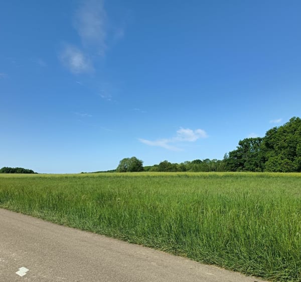 Parcours entre champs, bois et villages de Magny-Montarlot - Magny-Montarlot - 1