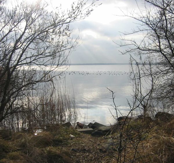 Wandelen in Naarden, Noord-Holland - Naarden - 1
