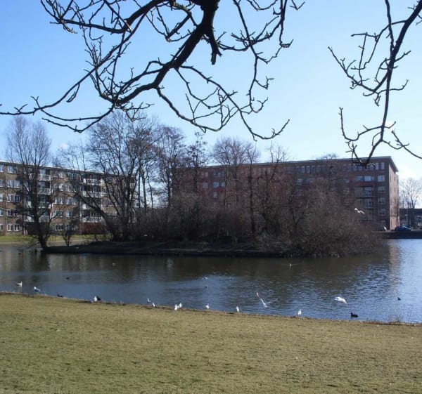 Wandelen in Heemskerk, Noord-Holland - Heemskerk - 1