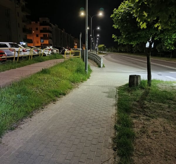 Trasa przez łąki. - Gdynia - 1