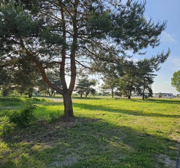 Ścieżka zdrowia - Sierakowo - 1