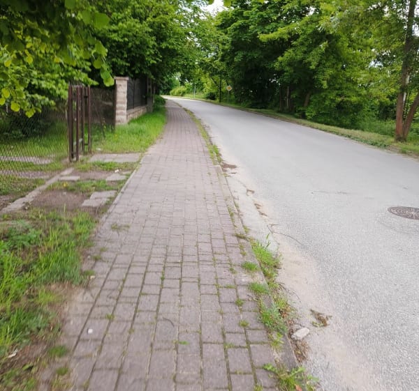 Bieg przez Grójec - Jerry - 1