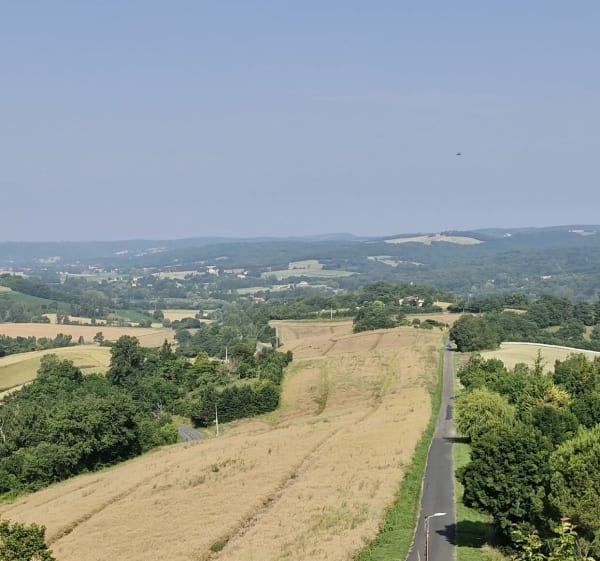 Castelnau-de-Montmiral - SABINE - 1
