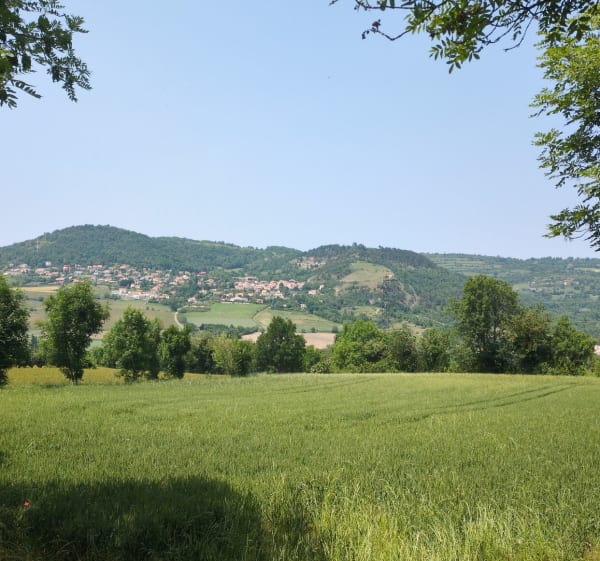 Forêt, champs avec une belle vue autour du Crest - Chanonat - 1