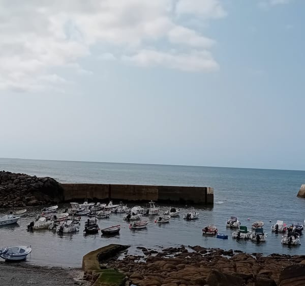 Balade au départ de Beuzec-Cap-Sizun - Beuzec-Cap-Sizun - 1
