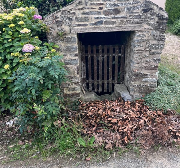 Balade en campagne à Pleugueneuc - Pleugueneuc - 1