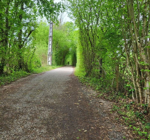 Pont de Groslée - Groslée-Saint-Benoit - 1