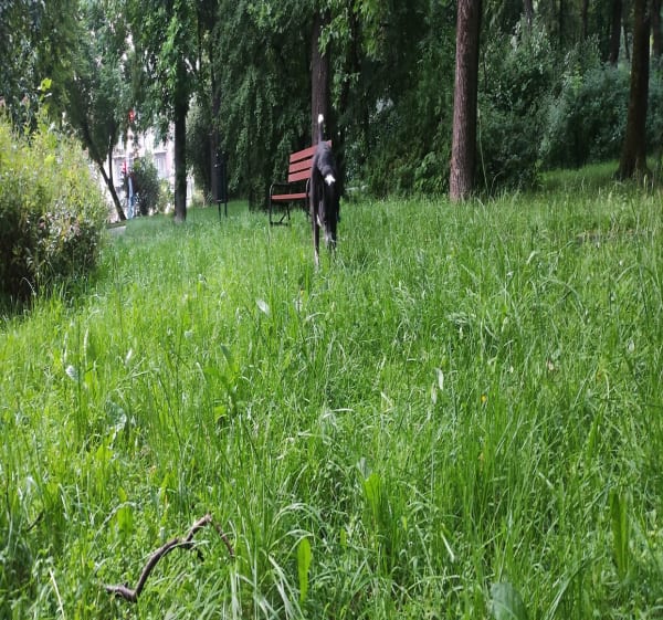 Spacer dworzec i park Staszica - Łódź - 1