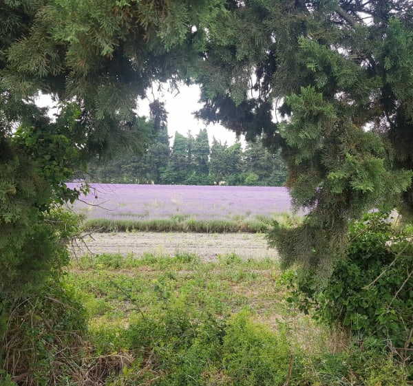 Entre St-Saturnin, Jonquerettes et Velleron - Jonquerettes - 1
