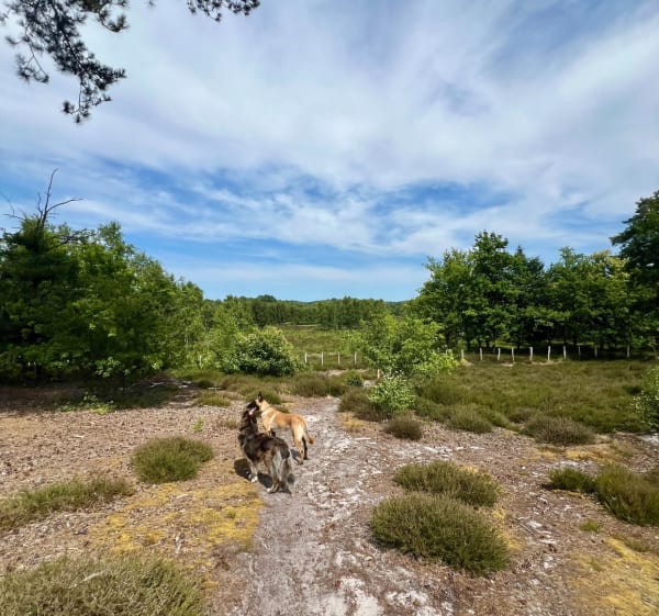 Balade jusqu’aux Landes de Versigny - Versigny - 1
