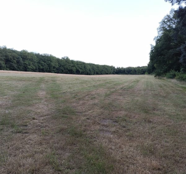 Rondje door het Groesbeekse bos - Groesbeek - 1
