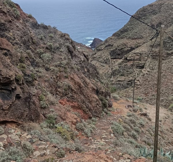 Chamorga-Faro de Anaga-Chamorga - Santa Cruz de Tenerife - 1