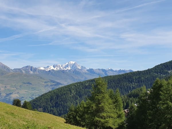 Randonnée familiale à la Plagne et caresses d'animaux - La Plagne - 1