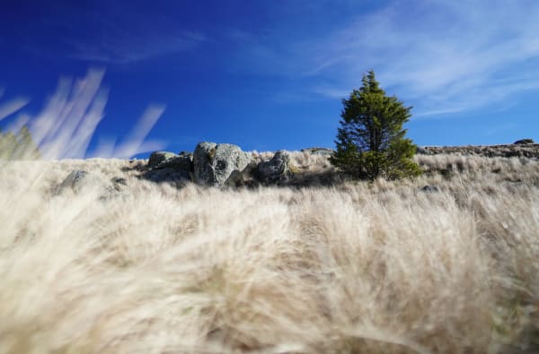 Het meer van Pises en dwalen in een steppelandschap - Dourbies - 1