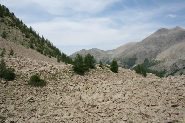 Pracht van het blauw van het Allos-meer en dierenzoektocht - Allos - 1