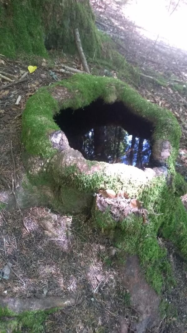Cirque de Saint-Même et aventure guidée par les cairns - Saint-Pierre-d'Entremont - 1